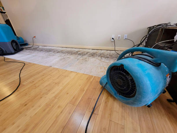 Professional Water Removal technician working in Laurel, MS